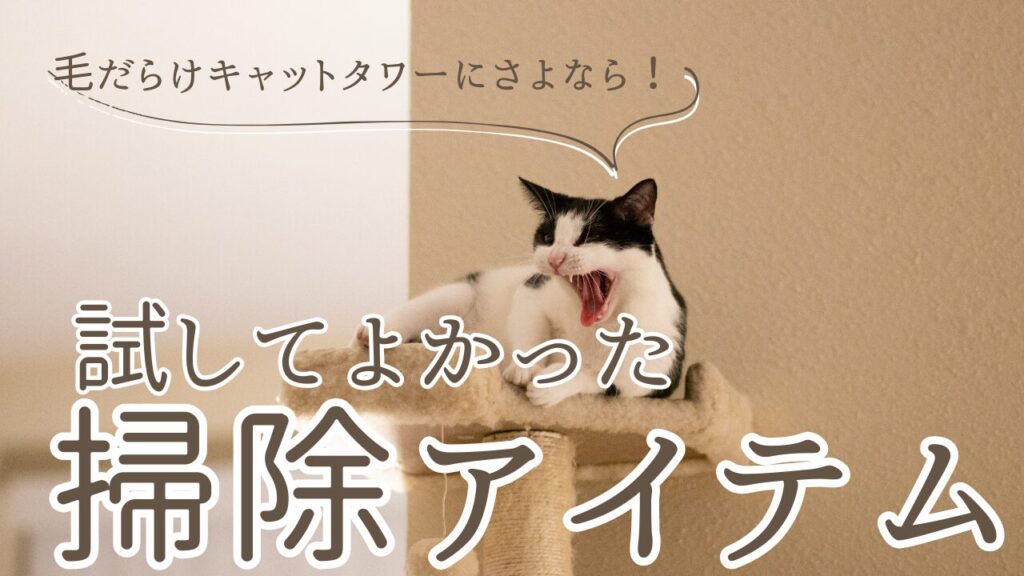 毛だらけキャットタワーにさよなら！試してよかった掃除アイテム紹介