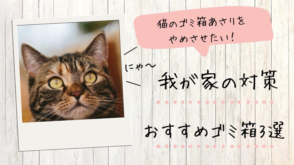 猫のゴミ箱あさりをやめさせたい！我が家の対策＆おすすめゴミ箱3選