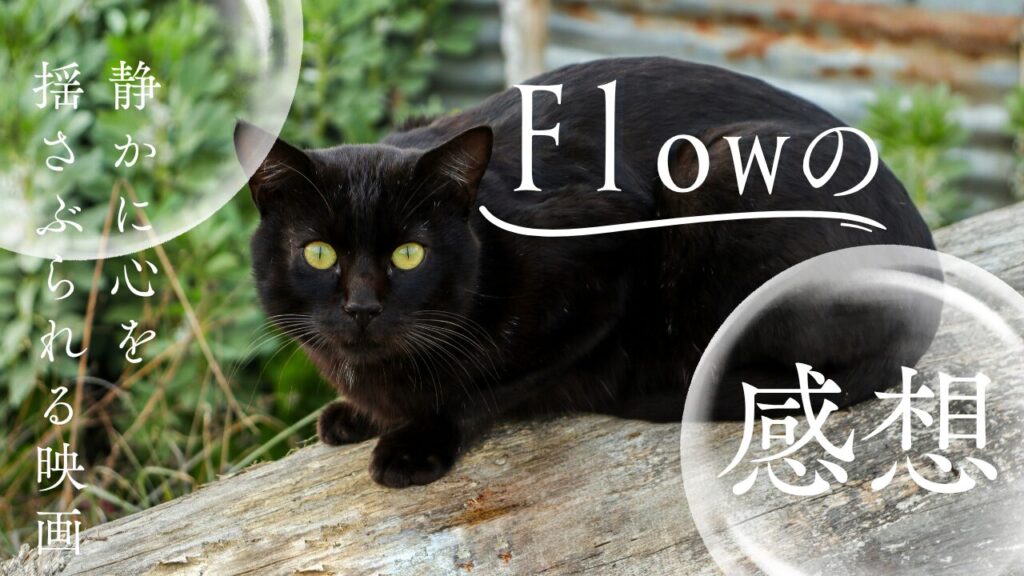 静かに心を揺さぶられる映画｜『Flow』感想【ネタバレあり】