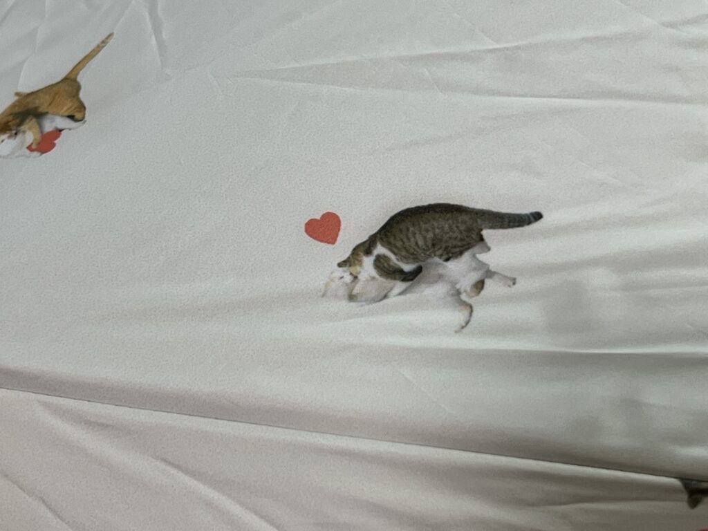 wpc.アンブレにゃん