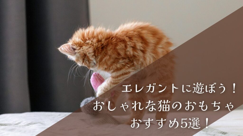 エレガントに遊ぼう！おしゃれな猫のおもちゃおすすめ5選！