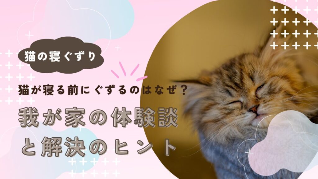 猫が寝る前にぐずるのはなぜ？我が家の体験談と解決のヒント