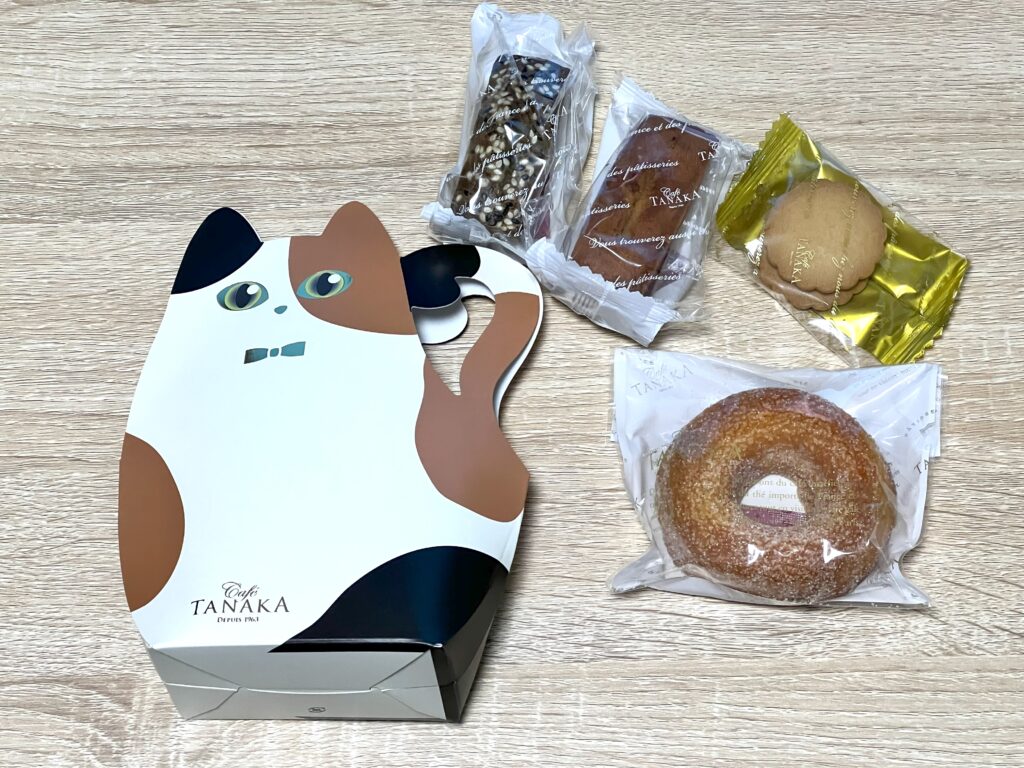 こっちニャン