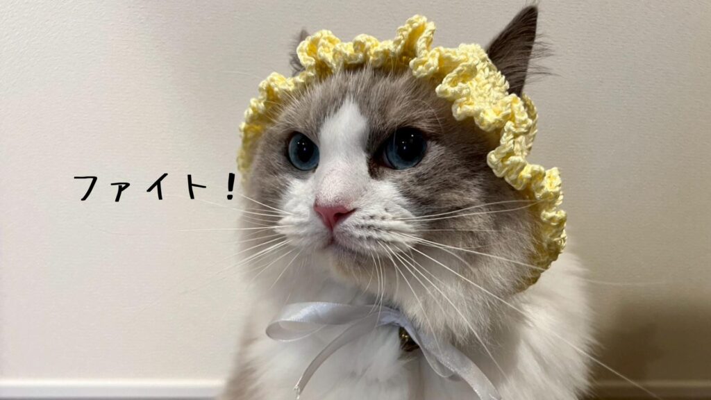ファイト！