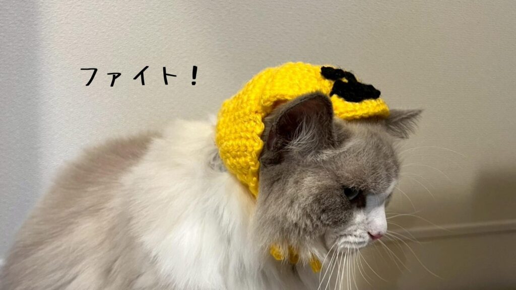 ファイト!