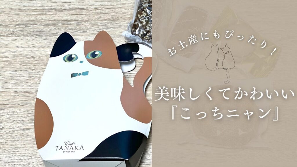 お土産にもぴったり！美味しくてかわいい『こっちニャン』