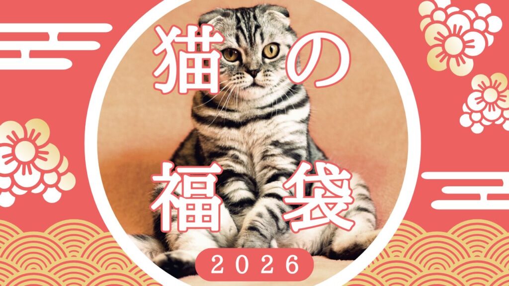 猫好き必見！猫がモチーフの猫福袋6選【2026】