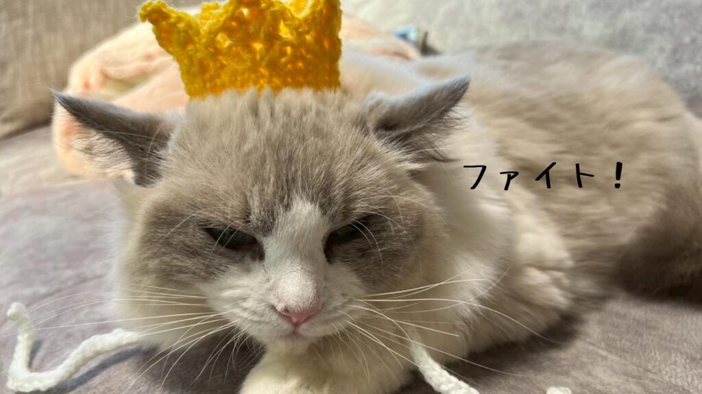 ファイト!