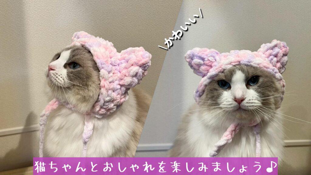 猫ちゃんとおしゃれを楽しみましょう♪
