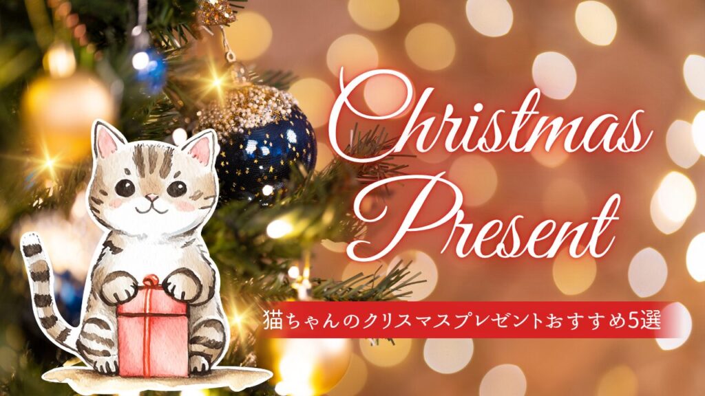 猫ちゃんと楽しむクリスマス！猫ちゃんのクリスマスプレゼントおすすめ5選