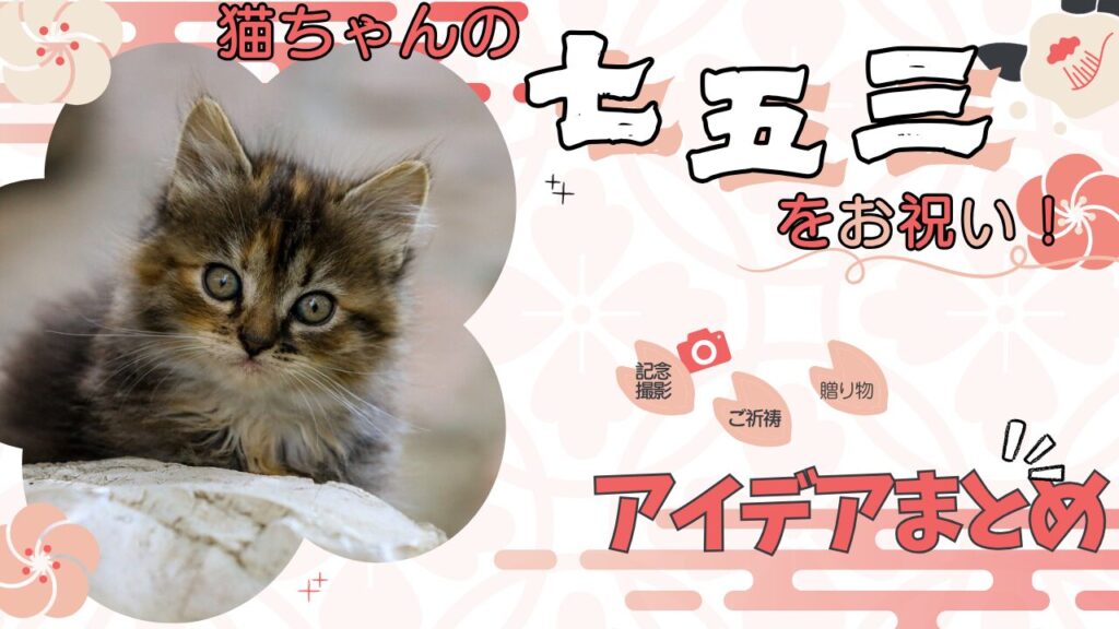 猫ちゃんの七五三をお祝い！アイデアまとめ