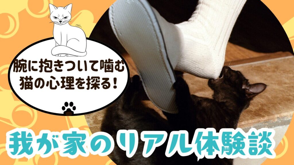 腕に抱きついて噛む猫の心理を探る！我が家のリアル体験談