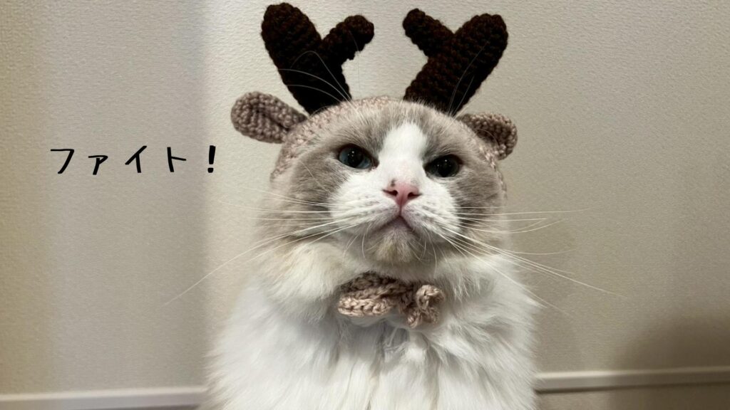 ファイト！