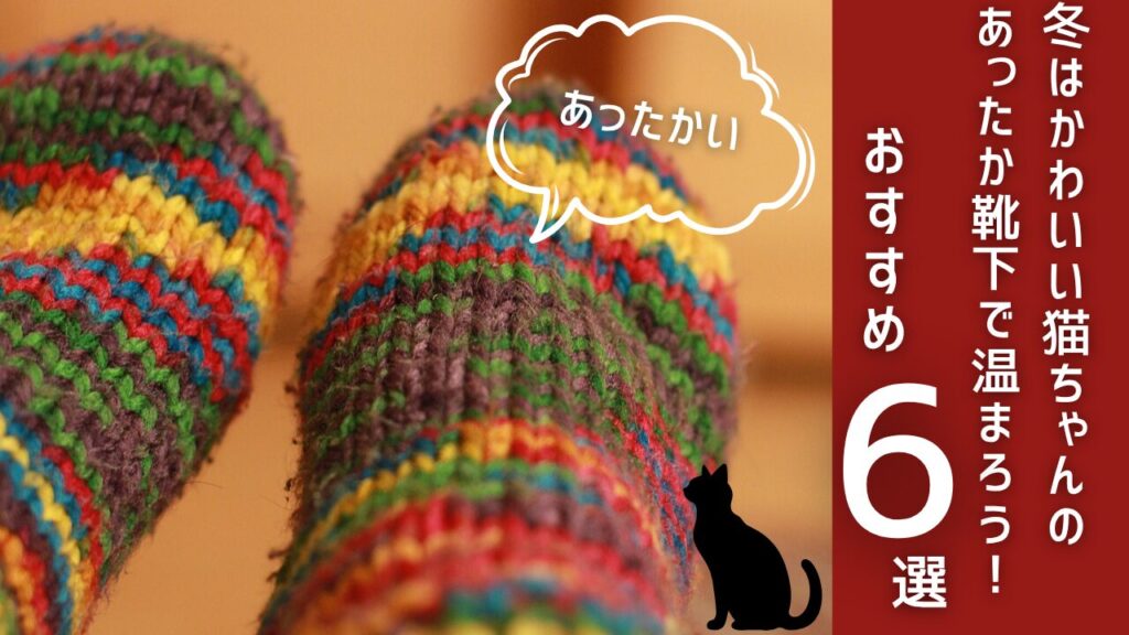 冬はかわいい猫ちゃんのあったか靴下で温まろう！おすすめ6選