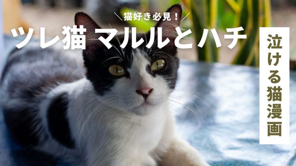 猫好き必見！泣ける猫漫画『ツレ猫 マルルとハチ』