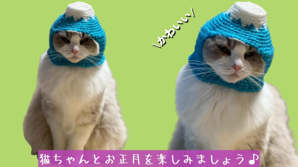 猫ちゃんとお正月を楽しみましょう♪