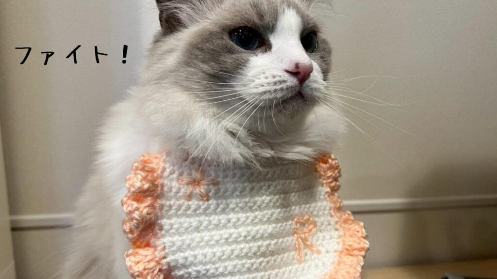 ファイト！