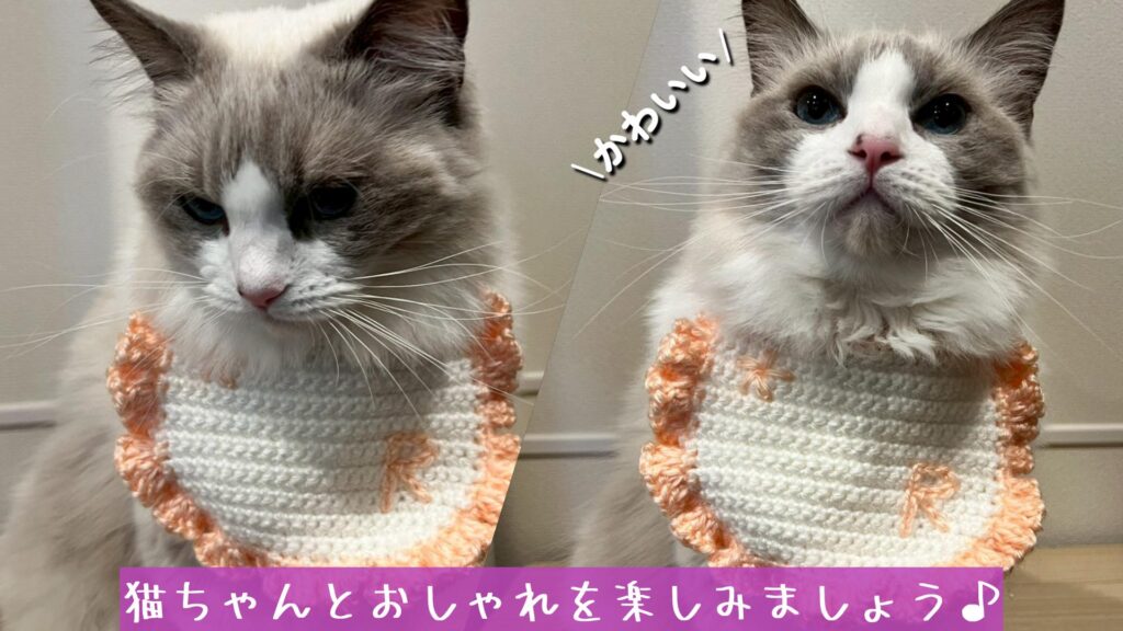 猫ちゃんとおしゃれを楽しみましょう♪
