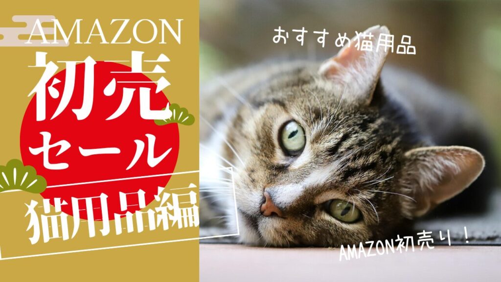【2026】Amazon初売りで買いたいおすすめ猫用品！