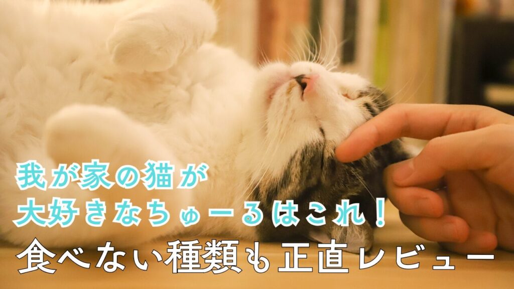 我が家の猫が大好きなちゅーるはこれ！食べない種類も正直レビュー