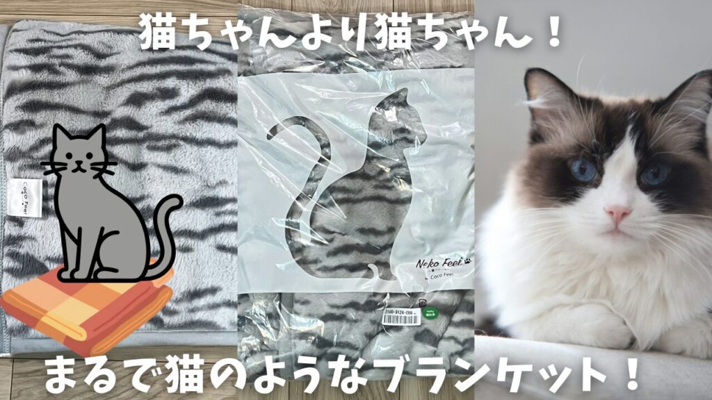 猫ちゃんより猫ちゃん！まるで猫のようなブランケット！