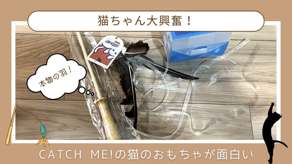 猫ちゃん大興奮！CATCH ME!の猫のおもちゃが面白い