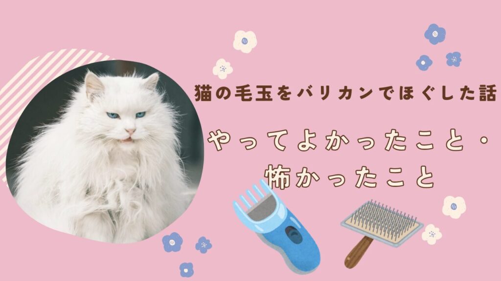 猫の毛玉をバリカンでほぐした話｜やってよかったこと・怖かったこと