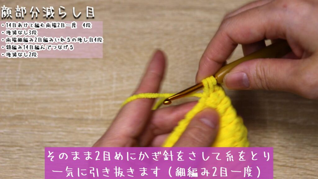 立ち上がりの目を1目編んで、1目めにかぎ針をさして糸を取ります。
そのまま2目めにかぎ針をさして糸をとり、一気に引き抜きます(細編み2目一度)。