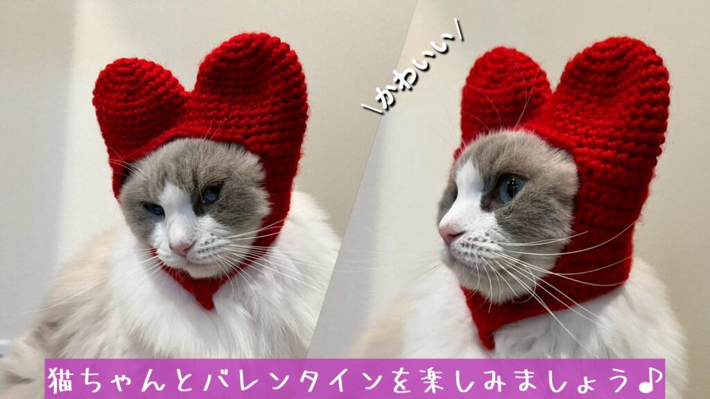 猫ちゃんとバレンタインを楽しみましょう♪