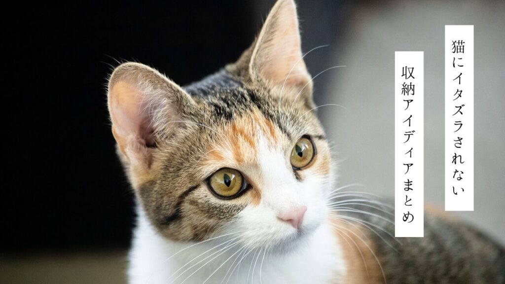 猫にイタズラされない収納アイディアまとめ