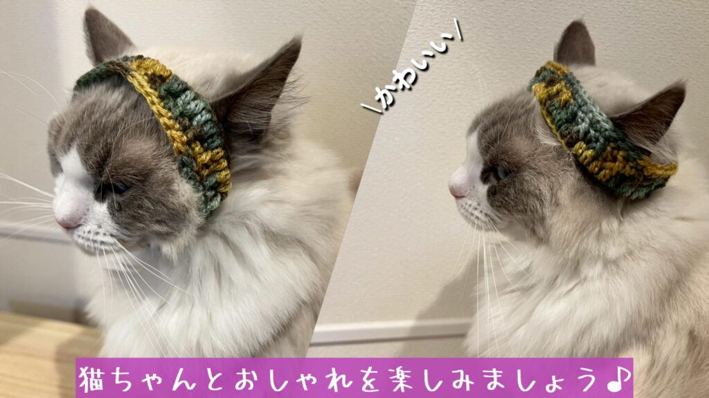 猫ちゃんとおしゃれを楽しみましょう♪