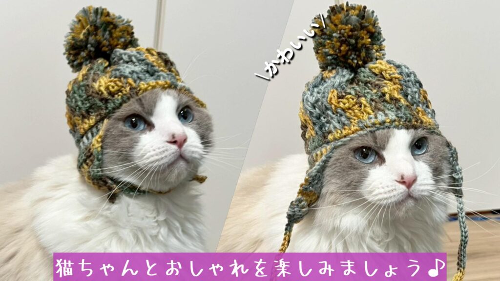 猫ちゃんとおしゃれを楽しみましょう♪