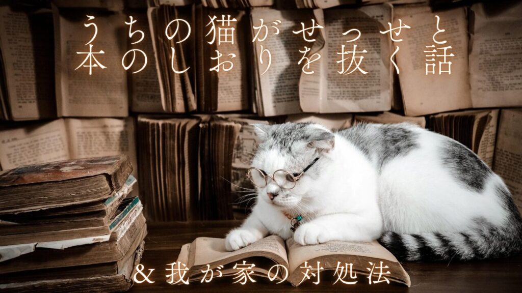 うちの猫がせっせと本のしおりを抜く話＆我が家の対処法
