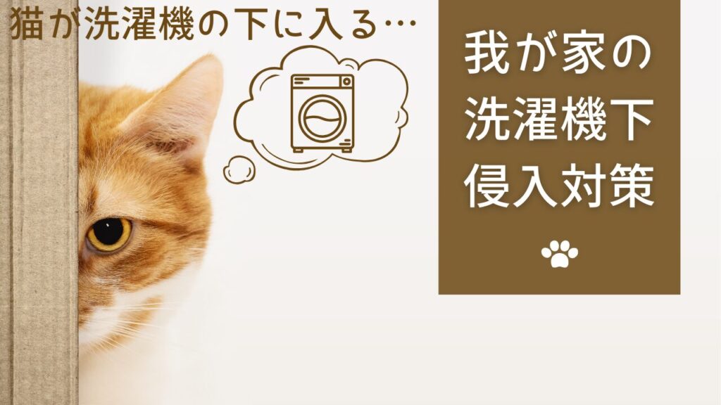 猫が洗濯機の下に入る…我が家の洗濯機下侵入対策！