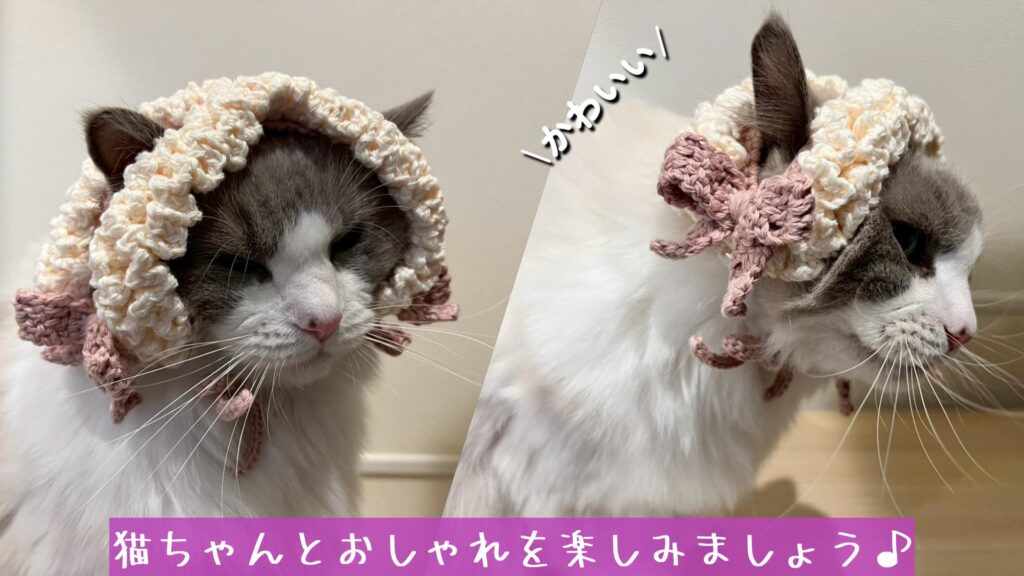 猫ちゃんとおしゃれを楽しみましょう♪