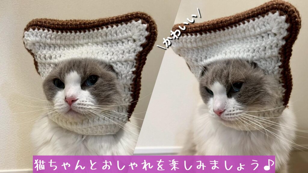 猫ちゃんとおしゃれを楽しみましょう♪