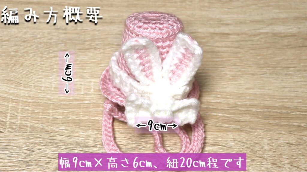 幅9cm×高さ6cm、紐20cm程です