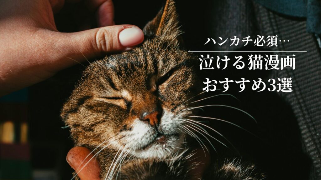 ハンカチ必須…泣ける猫漫画おすすめ3選