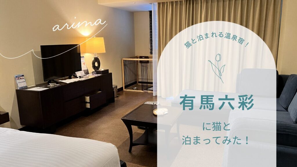 猫と泊まれる温泉宿！有馬六彩に猫と泊まってみた！