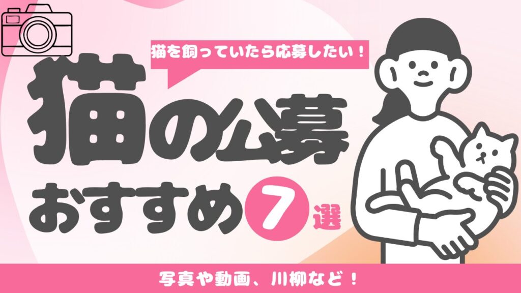 猫を飼っていたら応募したい！猫の公募おすすめ7選