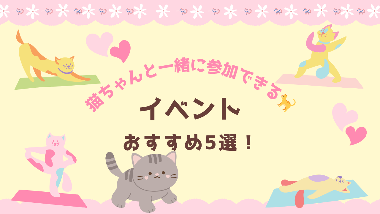 猫ちゃんと一緒に参加できる?イベントおすすめ5選！ | 猫のちブログ