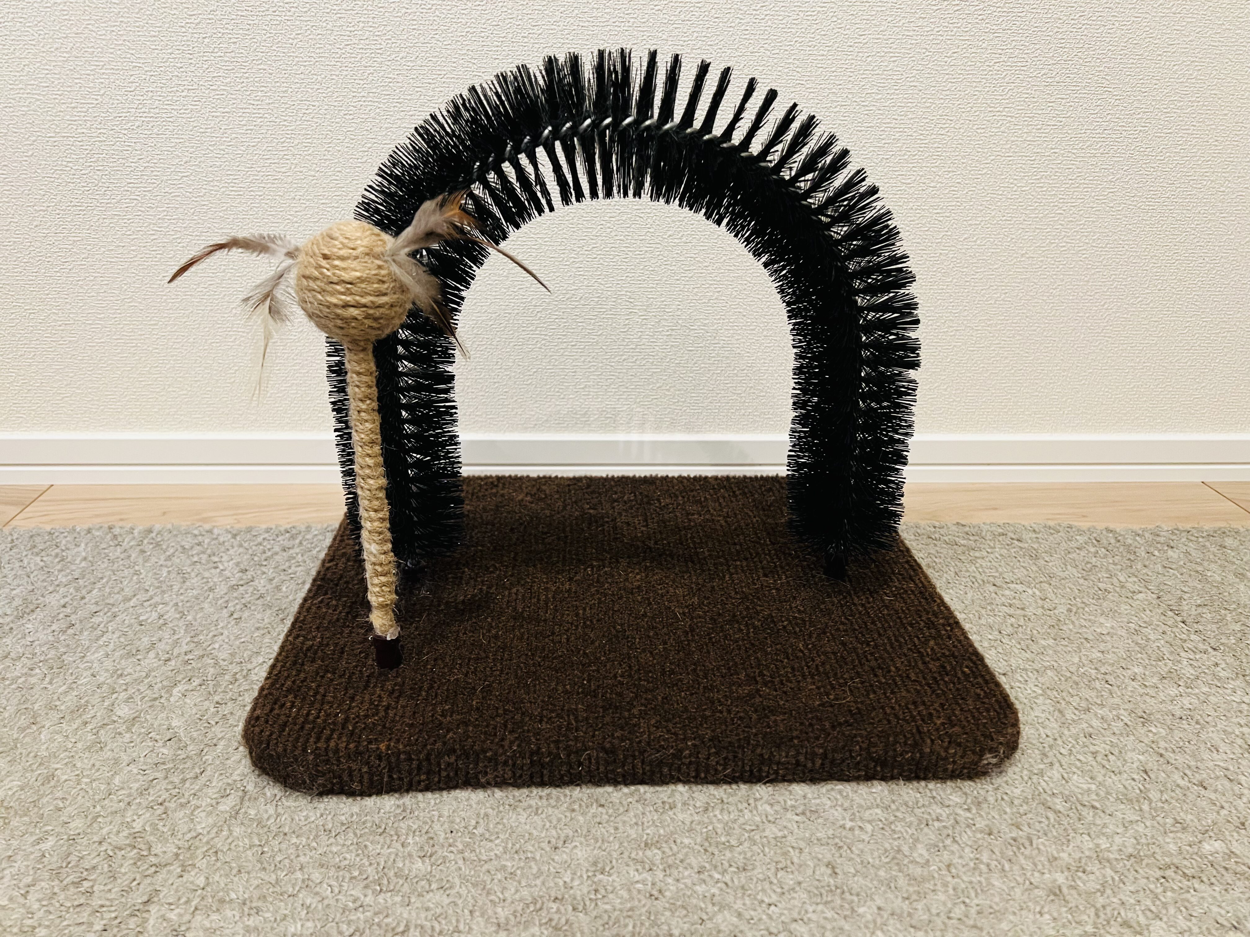 モダンルーム 毛づくろいブラシ