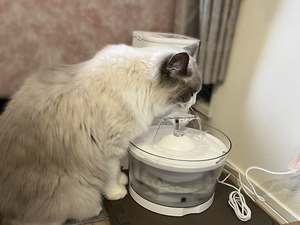 ピュアクリスタルグラッシーR猫用