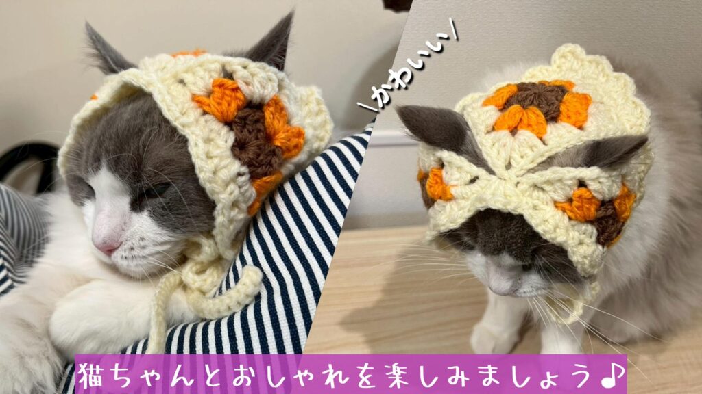 猫ちゃんとおしゃれを楽しみましょう♪