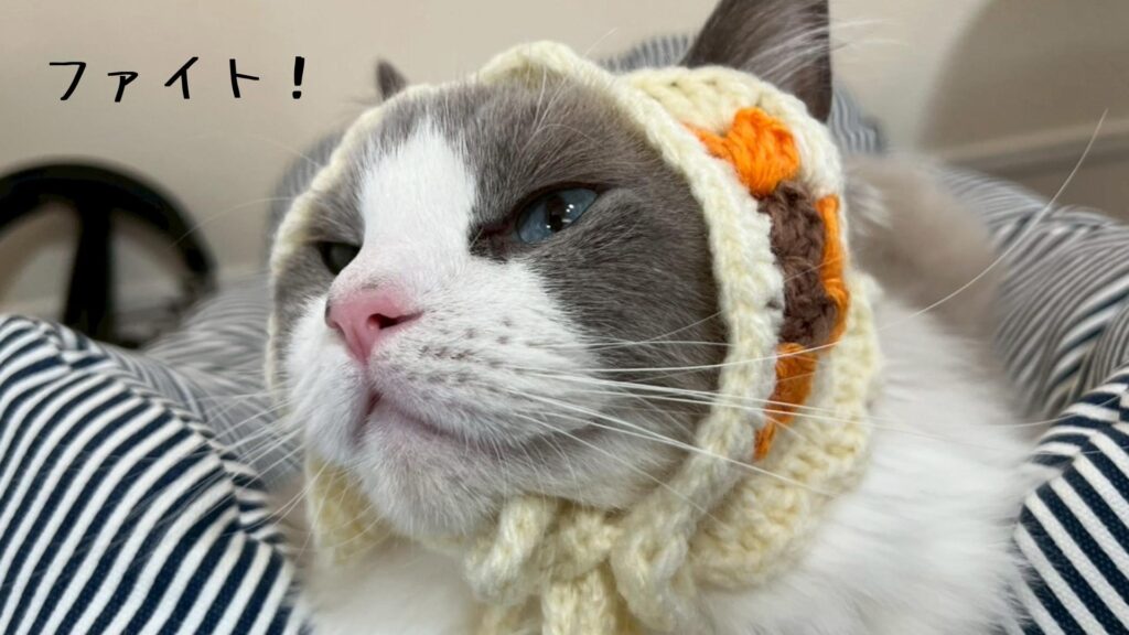 ファイト！