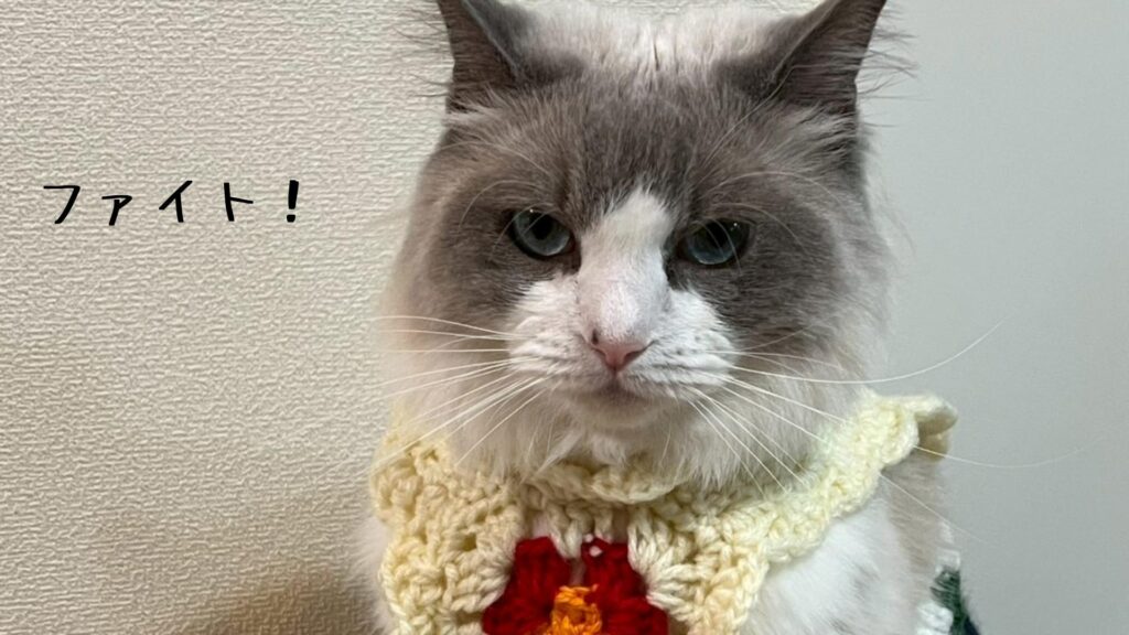 ファイト！