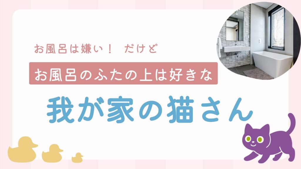 お風呂は嫌い！だけどお風呂のふたの上は好きな我が家の猫さん