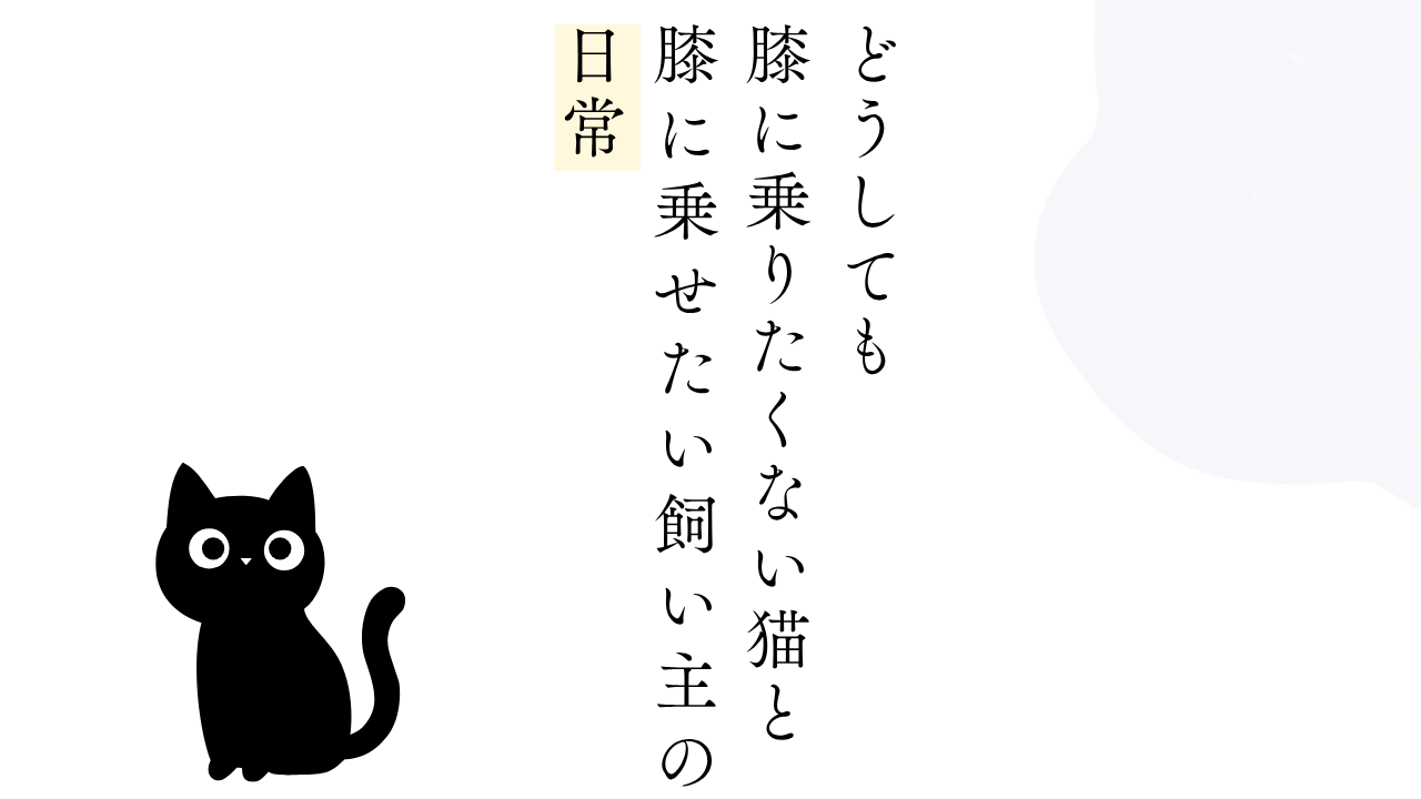 どうしても膝に乗りたくない猫と膝に乗せたい飼い主の日常