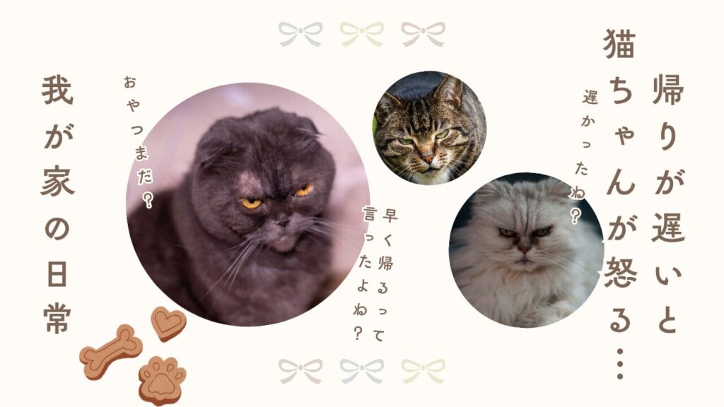 帰りが遅いと猫ちゃんが怒る…我が家の日常