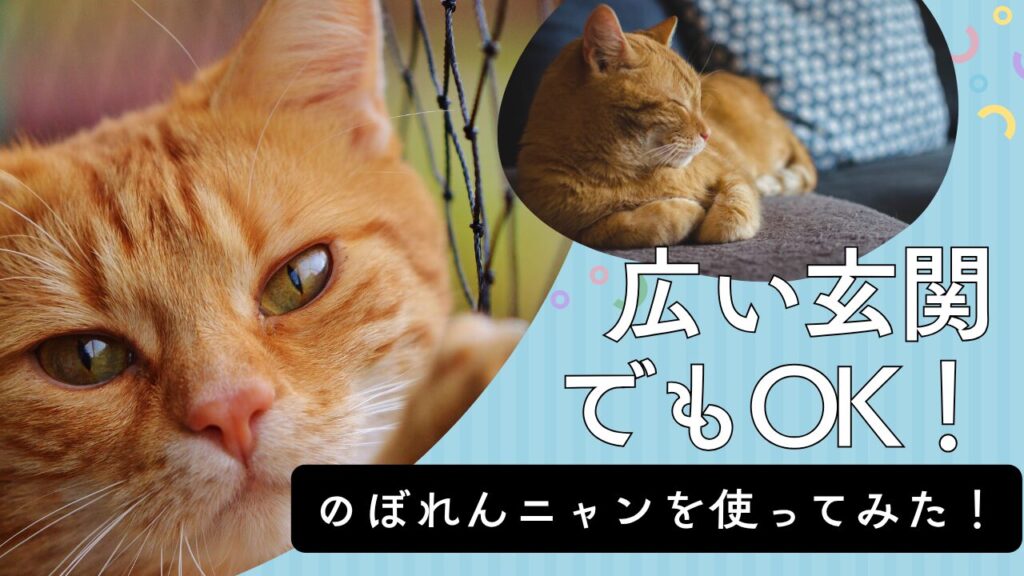 広い玄関でもOK！のぼれんニャンを使ってみた！